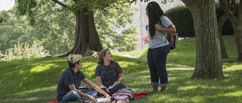 Three students talking on the Cathedral of Learning lawn