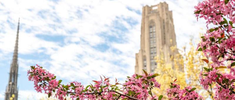 Cathedral of Learning exterior with flowers in foreground