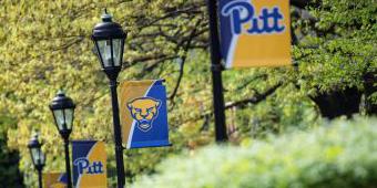 Lampposts with Pitt banners