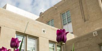 The exterior of Clapp Hall with tulips in the foreground